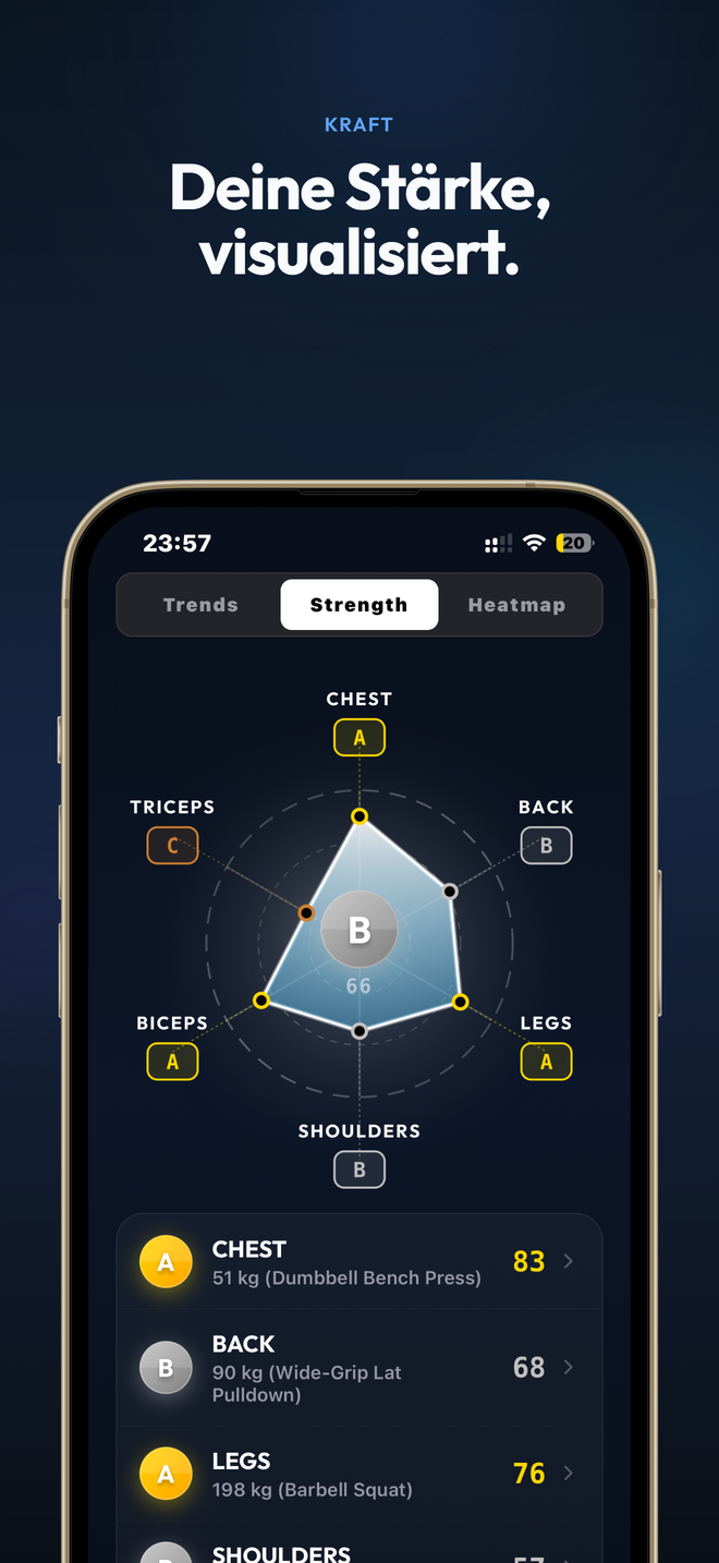 Kraft-Radarchart mit Noten pro Muskelgruppe