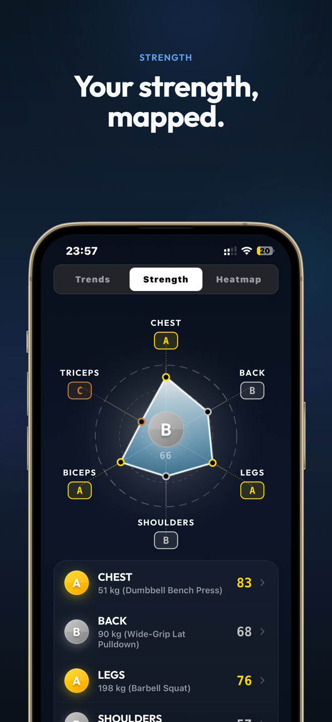 Strength radar chart with per-muscle-group letter grades