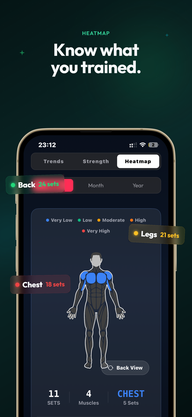 Volume heatmap showing muscle group training distribution