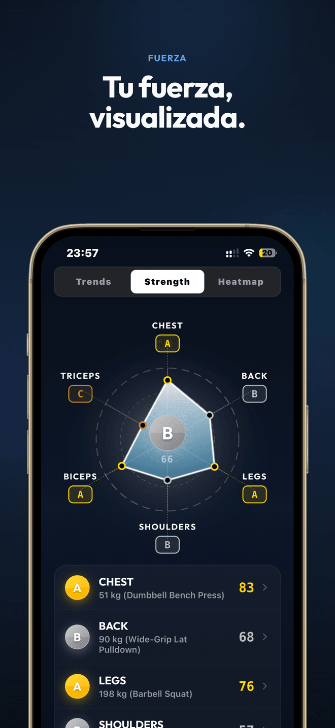 Gráfico radar de fuerza con notas por grupo muscular