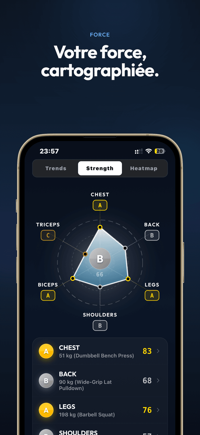 Graphique radar de force avec notes par groupe musculaire
